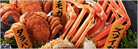 早期割引★最大31％オフ ベルーナのお歳暮
