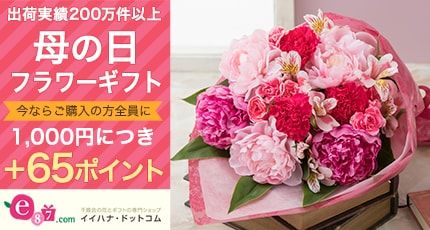 出荷実績200万件以上 母の日 フラワーギフト 今ならご購入の方全員に 1,000円につき +65ポイント e87.com 千趣会の花とギフトの専門ショップ イイハナ・ドットコム