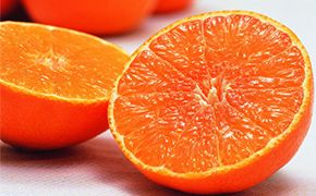 【紅まどんな】ぷるぷるの食感にビックリ。愛媛の新柑橘です。