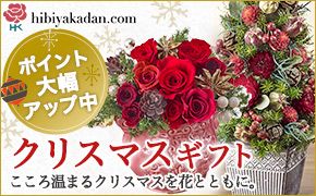 hibiyakadan.com ポイント大幅アップ中 クリスマスギフト こころ温まるクリスマスを花とともに。