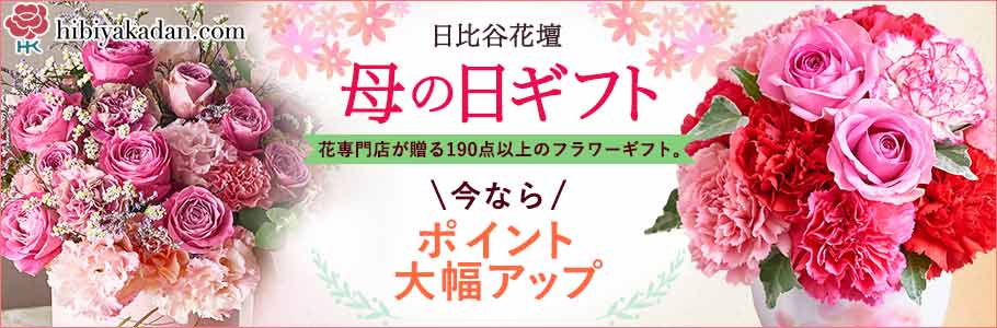 hibiyakadan.com 日比谷花壇 母の日ギフト 花専門店が贈る190点以上のフラワーギフト。 ＼今なら／ ポイント大幅アップ