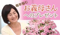 毎年悩む お義母さんへのプレゼント