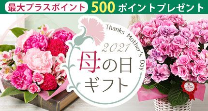 最大プラスポイント500ポイントプレゼント 2021 母の日ギフト