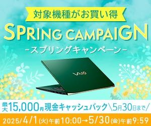 VAIO(バイオ)ストア