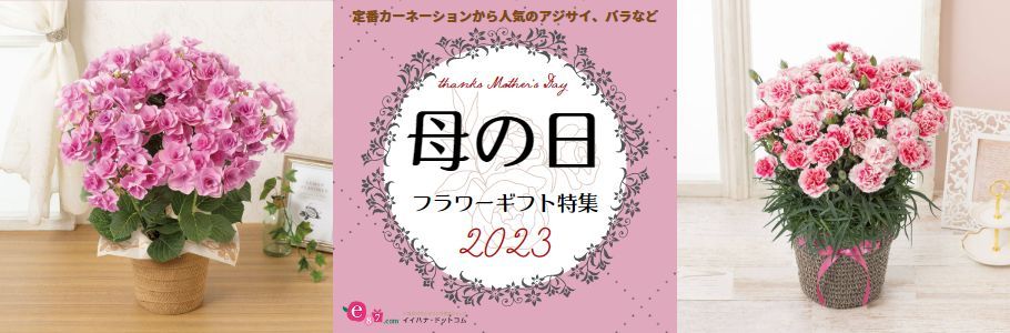 定番カーネーションから人気のアジサイ、バラなど 母の日フラワーギフト特集2023 e87.com 千趣会の花とギフトの専門ショップ イイハナ・ドットコム