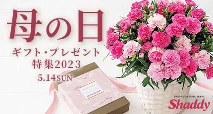 カーネーションや花とお菓子のセット、コスメや実用的なギフトを豊富にラインナップ！