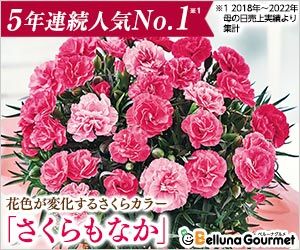 4月25日（火）まで早割！さくらもなか