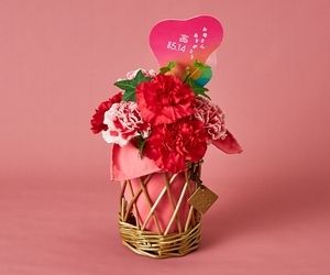 【母の日】ブルームバスケットS レッド