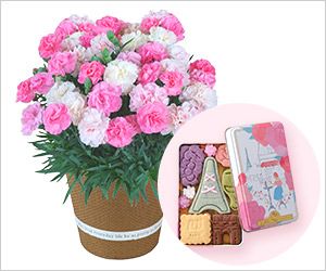 日比谷花壇×サブレミッシェルギフトセット