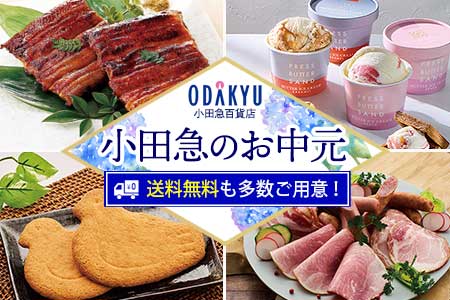[ODAKYU 小田急百貨店] 小田急のお中元 送料無料も多数ご用意！