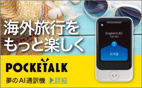 海外でも快適にインターネット 冬旅割引 総額より20%OFF