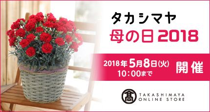 母の日特集 | 出光カードモール